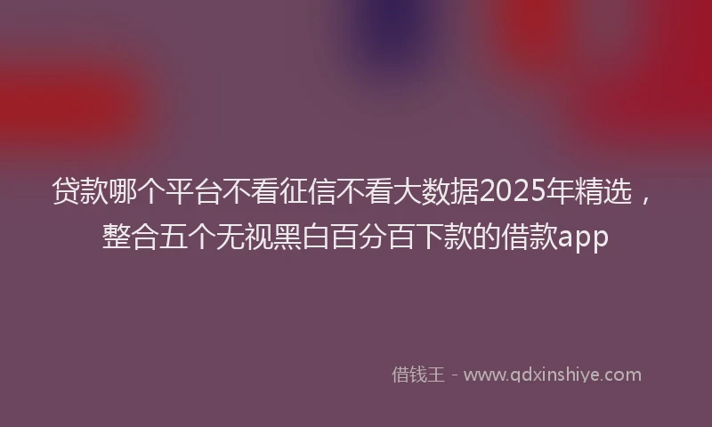 贷款哪个平台不看征信不看大数据2025年精选，整合五个无视黑白百分百下款的借款app
