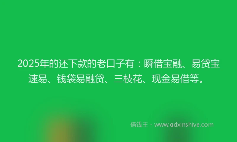 2025年的还下款的老口子有：瞬借宝融、易贷宝速易、钱袋易融贷、三枝花、现金易借等。