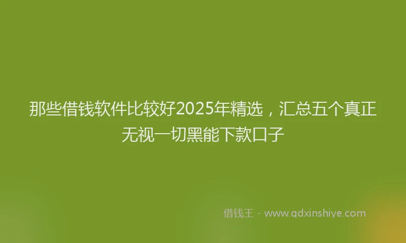 那些借钱软件比较好2025年精选，汇总五个真正无视一切黑能下款口子