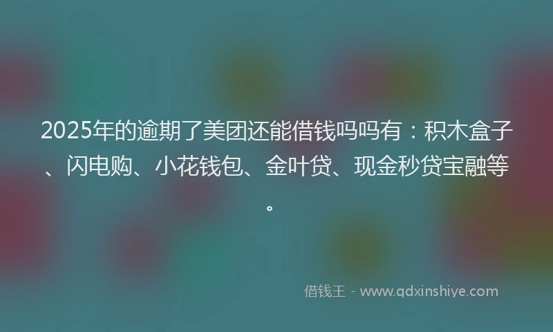 2025年的逾期了美团还能借钱吗吗有：积木盒子、闪电购、小花钱包、金叶贷、现金秒贷宝融等。