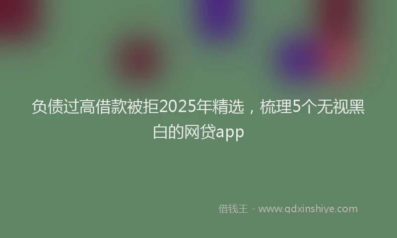 负债过高借款被拒2025年精选，梳理5个无视黑白的网贷app
