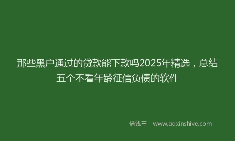 那些黑户通过的贷款能下款吗2025年精选，总结五个不看年龄征信负债的软件