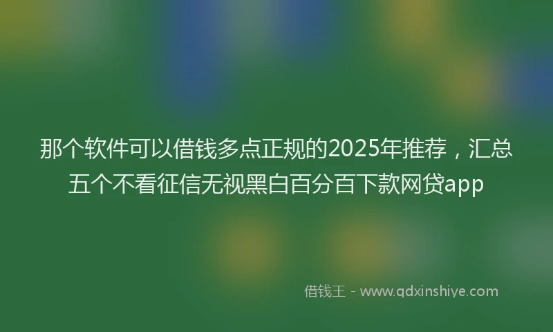那个软件可以借钱多点正规的2025年推荐，汇总五个不看征信无视黑白百分百下款网贷app