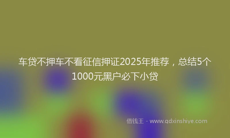车贷不押车不看征信押证2025年推荐，总结5个1000元黑户必下小贷