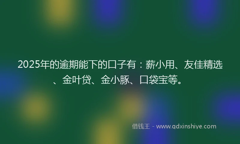 2025年的逾期能下的口子有：薪小用、友佳精选、金叶贷、金小豚、口袋宝等。