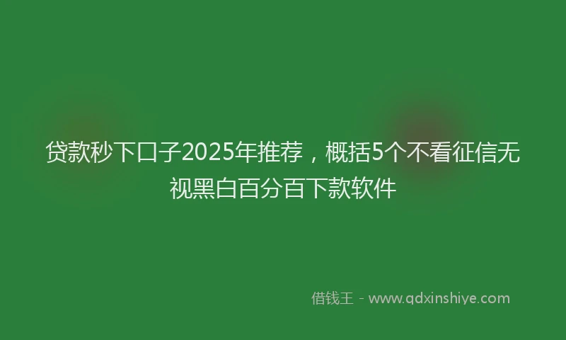 贷款秒下口子2025年推荐，概括5个不看征信无视黑白百分百下款软件