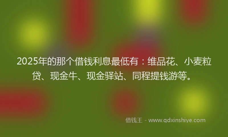 2025年的那个借钱利息最低有：维品花、小麦粒贷、现金牛、现金驿站、同程提钱游等。