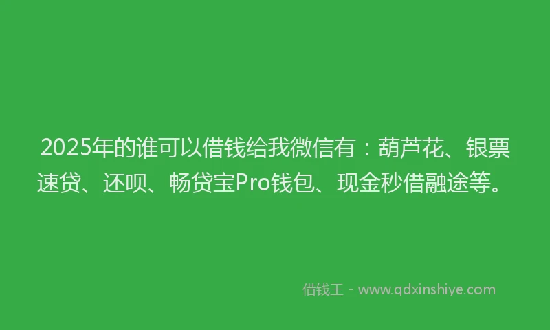 2025年的谁可以借钱给我微信有：葫芦花、银票速贷、还呗、畅贷宝Pro钱包、现金秒借融途等。