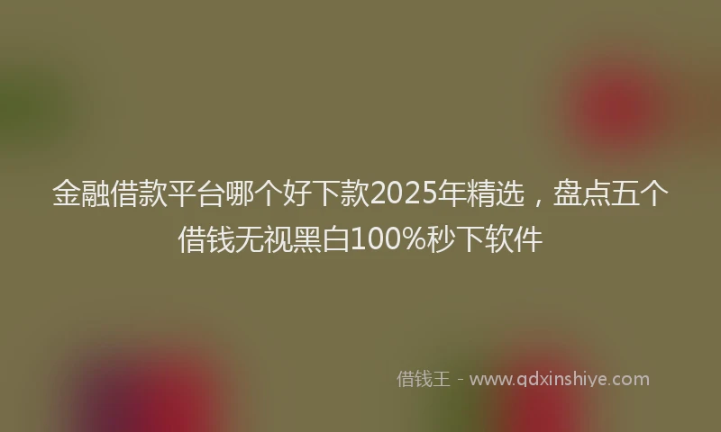 金融借款平台哪个好下款2025年精选，盘点五个借钱无视黑白100%秒下软件