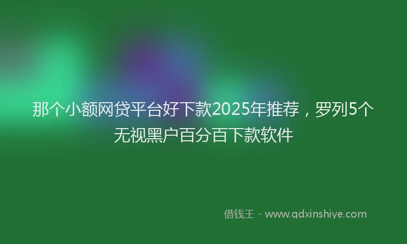 那个小额网贷平台好下款2025年推荐，罗列5个无视黑户百分百下款软件