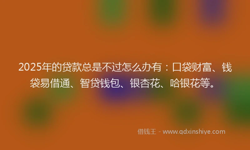 2025年的贷款总是不过怎么办有：口袋财富、钱袋易借通、智贷钱包、银杏花、哈银花等。