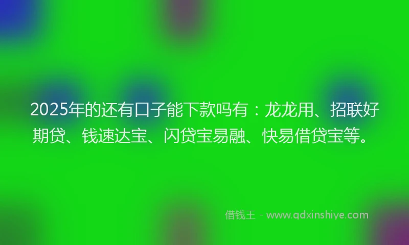 2025年的还有口子能下款吗有：龙龙用、招联好期贷、钱速达宝、闪贷宝易融、快易借贷宝等。