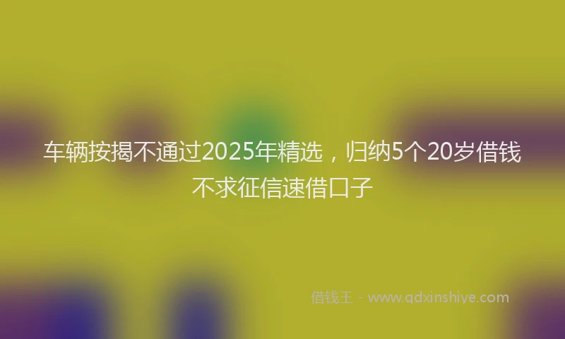 车辆按揭不通过2025年精选，归纳5个20岁借钱不求征信速借口子