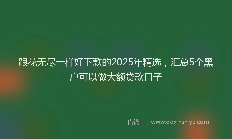 跟花无尽一样好下款的2025年精选，汇总5个黑户可以做大额贷款口子