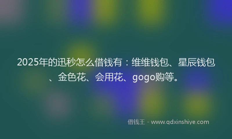 2025年的迅秒怎么借钱有：维维钱包、星辰钱包、金色花、会用花、gogo购等。