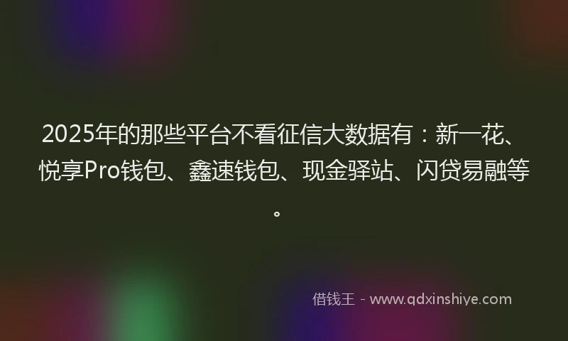 2025年的那些平台不看征信大数据有：新一花、悦享Pro钱包、鑫速钱包、现金驿站、闪贷易融等。