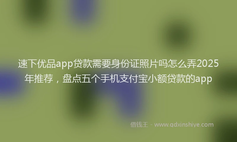 速下优品app贷款需要身份证照片吗怎么弄2025年推荐，盘点五个手机支付宝小额贷款的app