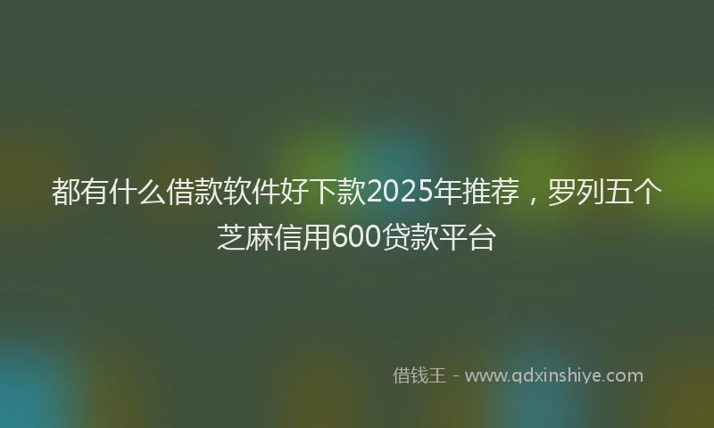 都有什么借款软件好下款2025年推荐，罗列五个芝麻信用600贷款平台