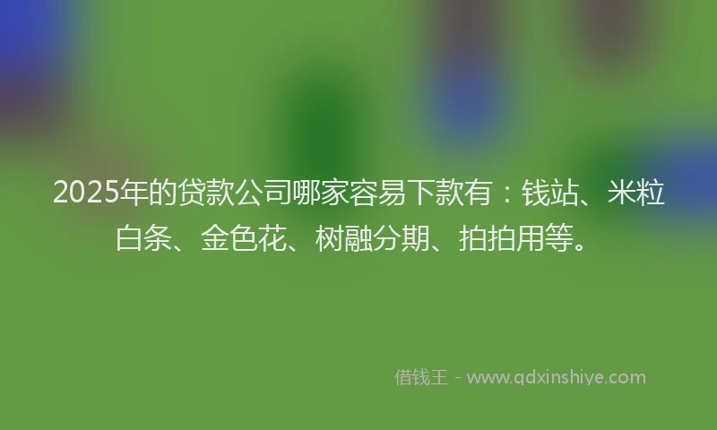 2025年的贷款公司哪家容易下款有：钱站、米粒白条、金色花、树融分期、拍拍用等。