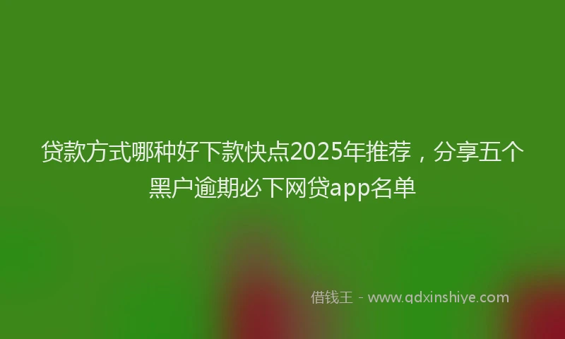 贷款方式哪种好下款快点2025年推荐，分享五个黑户逾期必下网贷app名单