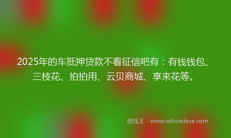 2025年的车抵押贷款不看征信吧有：有钱钱包、三枝花、拍拍用、云贝商城、享来花等。