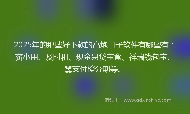 2025年的那些好下款的高炮口子软件有哪些有：薪小用、及时租、现金易贷宝盒、祥瑞钱包宝、翼支付橙分期等。
