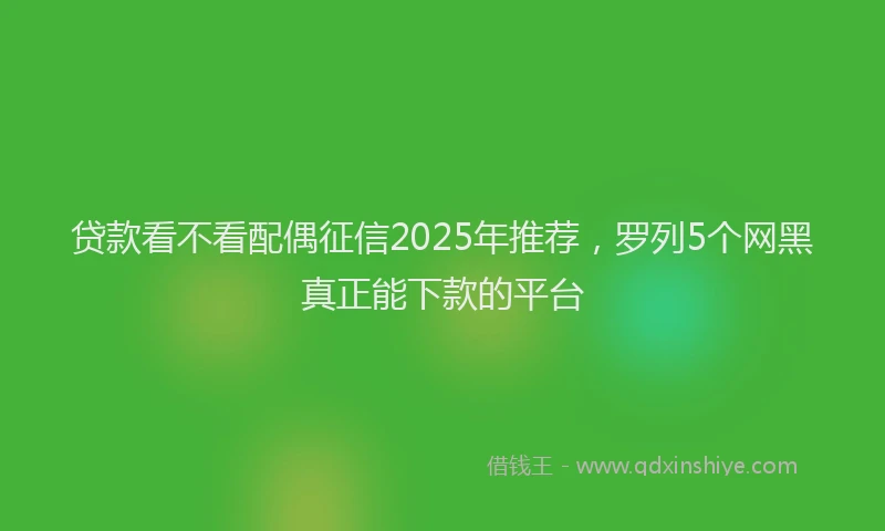 贷款看不看配偶征信2025年推荐，罗列5个网黑真正能下款的平台
