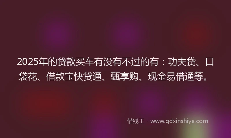 2025年的贷款买车有没有不过的有：功夫贷、口袋花、借款宝快贷通、甄享购、现金易借通等。