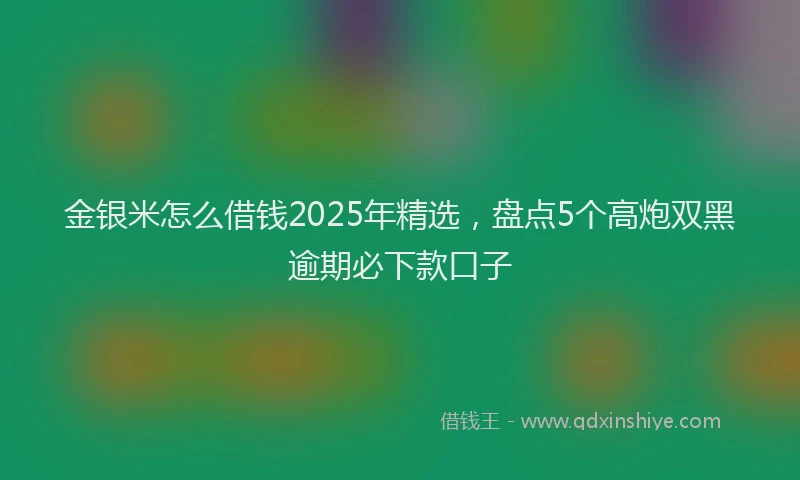 金银米怎么借钱2025年精选，盘点5个高炮双黑逾期必下款口子