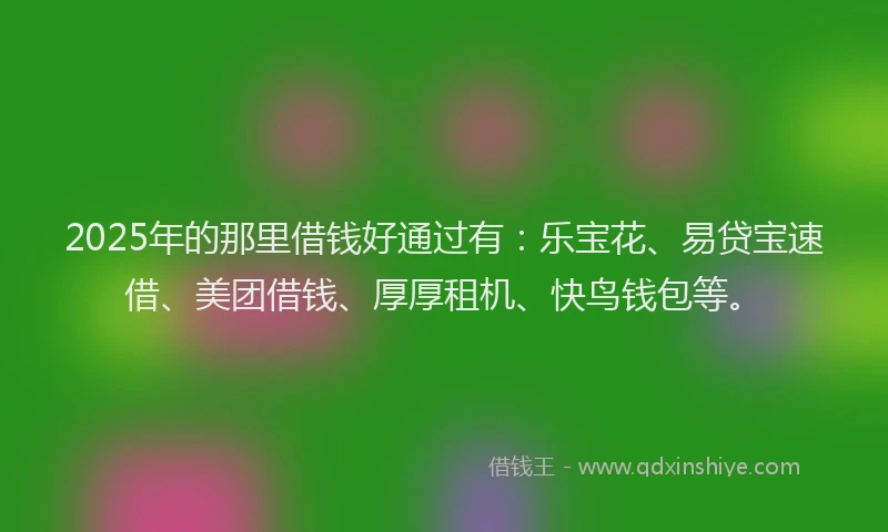2025年的那里借钱好通过有：乐宝花、易贷宝速借、美团借钱、厚厚租机、快鸟钱包等。
