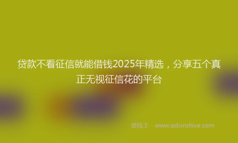 贷款不看征信就能借钱2025年精选，分享五个真正无视征信花的平台