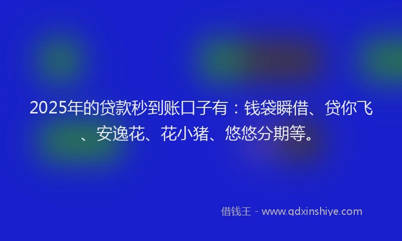 2025年的贷款秒到账口子有：钱袋瞬借、贷你飞、安逸花、花小猪、悠悠分期等。