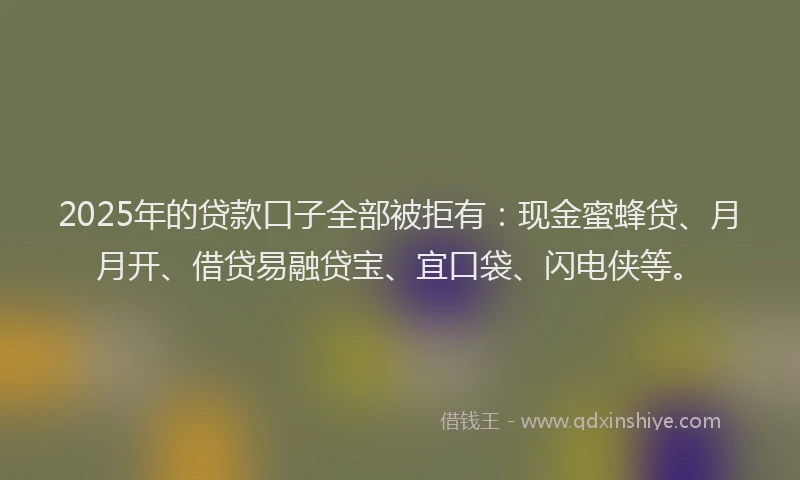 2025年的贷款口子全部被拒有：现金蜜蜂贷、月月开、借贷易融贷宝、宜口袋、闪电侠等。