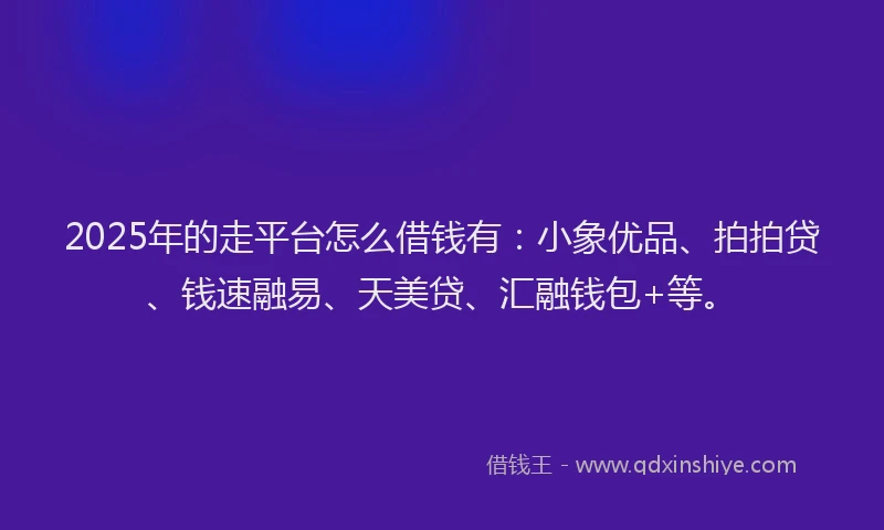2025年的走平台怎么借钱有：小象优品、拍拍贷、钱速融易、天美贷、汇融钱包+等。