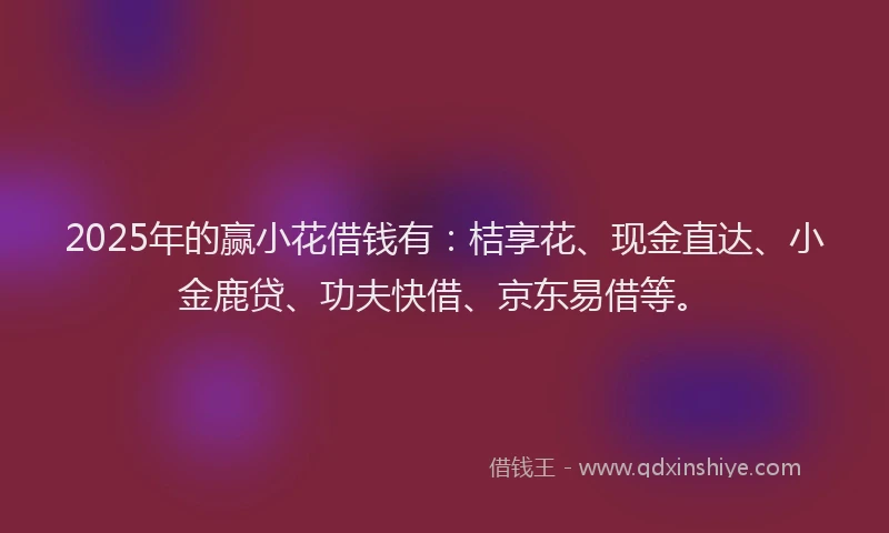 2025年的赢小花借钱有：桔享花、现金直达、小金鹿贷、功夫快借、京东易借等。