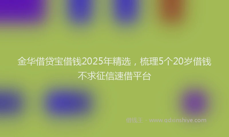 金华借贷宝借钱2025年精选，梳理5个20岁借钱不求征信速借平台