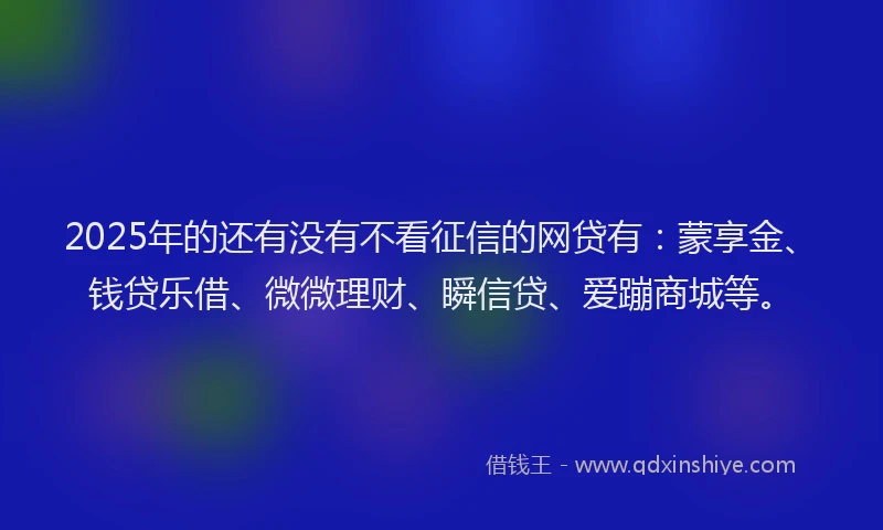 2025年的还有没有不看征信的网贷有：蒙享金、钱贷乐借、微微理财、瞬信贷、爱蹦商城等。