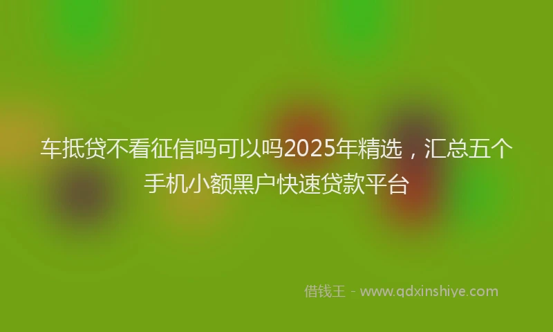 车抵贷不看征信吗可以吗2025年精选，汇总五个手机小额黑户快速贷款平台