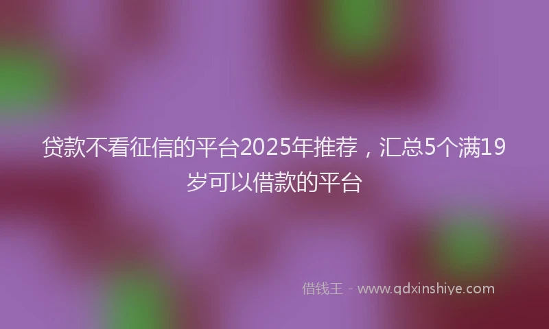贷款不看征信的平台2025年推荐，汇总5个满19岁可以借款的平台