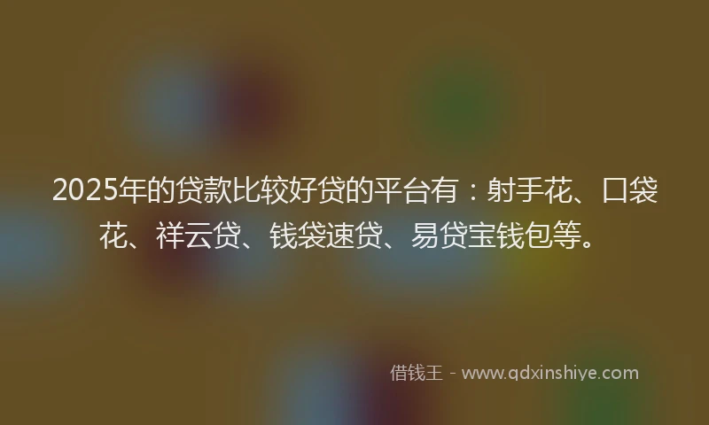 2025年的贷款比较好贷的平台有：射手花、口袋花、祥云贷、钱袋速贷、易贷宝钱包等。