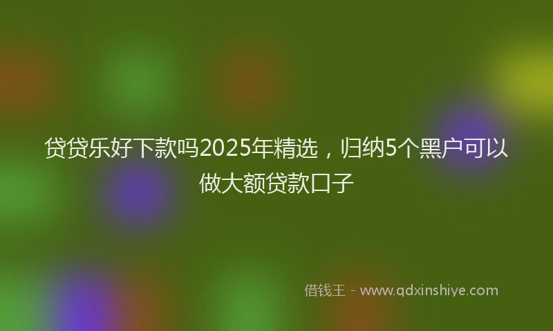 贷贷乐好下款吗2025年精选，归纳5个黑户可以做大额贷款口子
