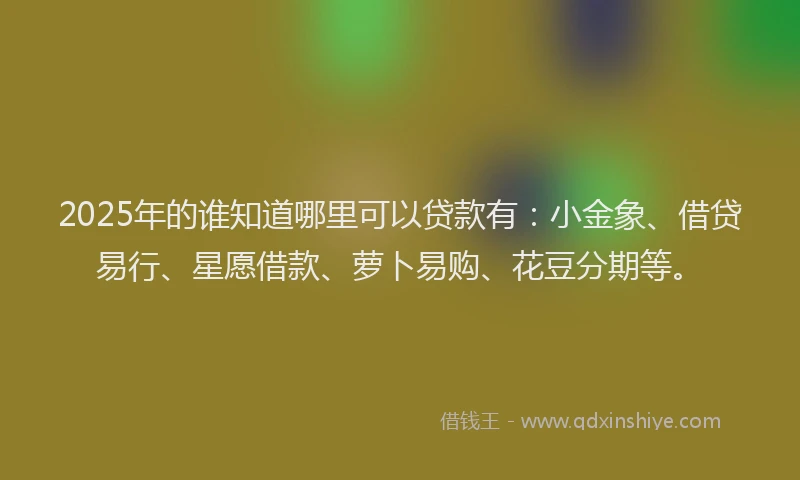 2025年的谁知道哪里可以贷款有：小金象、借贷易行、星愿借款、萝卜易购、花豆分期等。