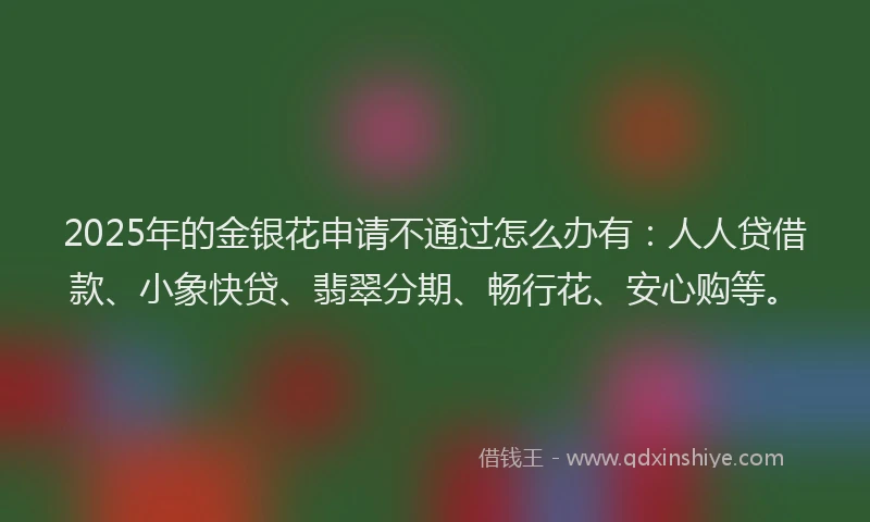 2025年的金银花申请不通过怎么办有：人人贷借款、小象快贷、翡翠分期、畅行花、安心购等。