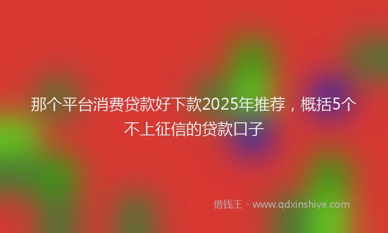 那个平台消费贷款好下款2025年推荐，概括5个不上征信的贷款口子