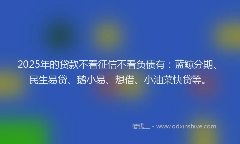 2025年的贷款不看征信不看负债有：蓝鲸分期、民生易贷、鹅小易、想借、小油菜快贷等。