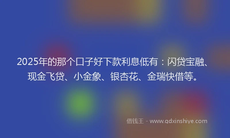 2025年的那个口子好下款利息低有：闪贷宝融、现金飞贷、小金象、银杏花、金瑞快借等。