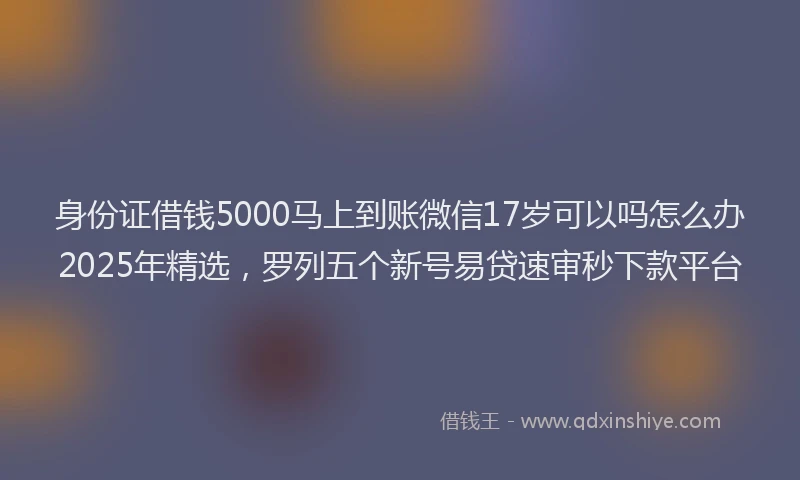 身份证借钱5000马上到账微信17岁可以吗怎么办2025年精选，罗列五个新号易贷速审秒下款平台