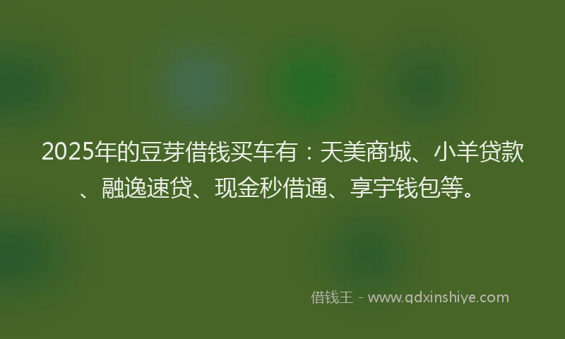 2025年的豆芽借钱买车有：天美商城、小羊贷款、融逸速贷、现金秒借通、享宇钱包等。