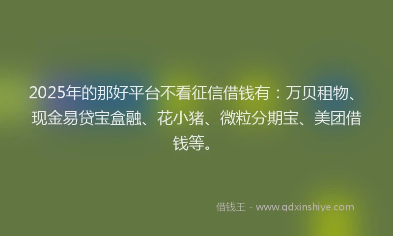2025年的那好平台不看征信借钱有：万贝租物、现金易贷宝盒融、花小猪、微粒分期宝、美团借钱等。