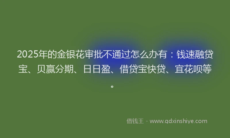 2025年的金银花审批不通过怎么办有：钱速融贷宝、贝赢分期、日日盈、借贷宝快贷、宜花呗等。
